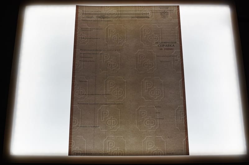 Купить Академическая справка 2010-2011 года в Челябинске