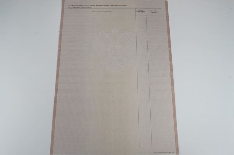 Заказать Академическая справка 2010-2011 года в Челябинске