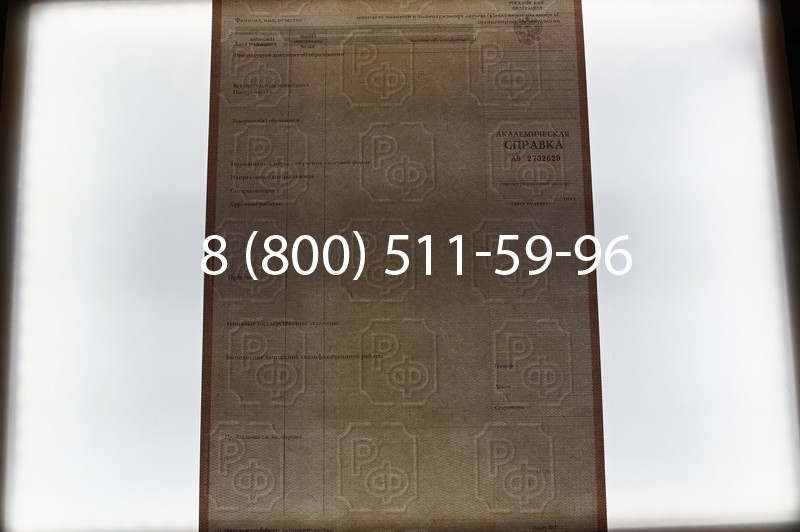 Купить Академическая справка 1996-2009 года в Челябинске