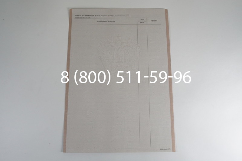 Заказать Академическая справка 1996-2009 года в Челябинске