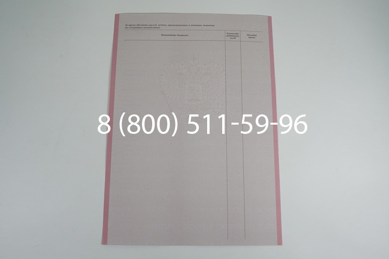 Заказать Академическая справка образца 1996-2009 год для колледжа в Челябинске