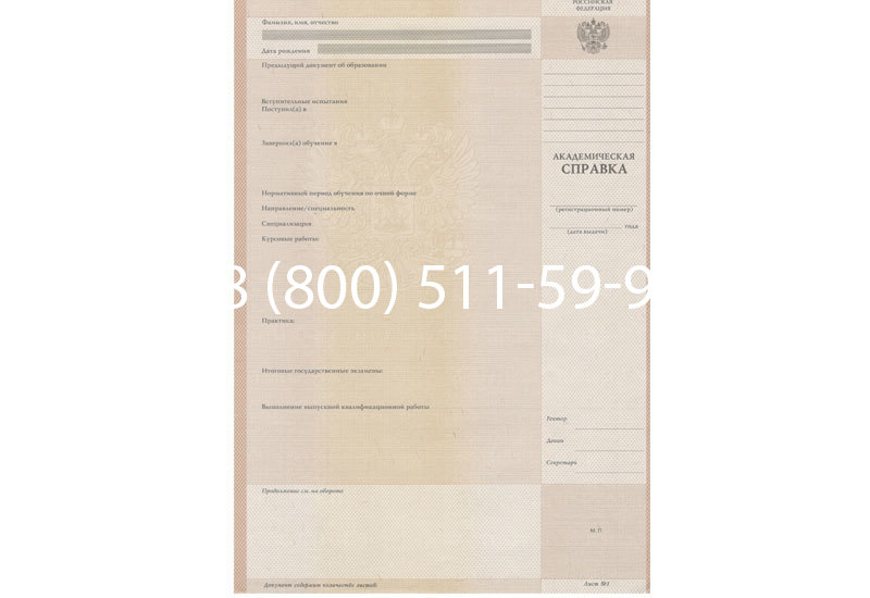 Купить Академическая справка 1996-2009 года в Челябинске