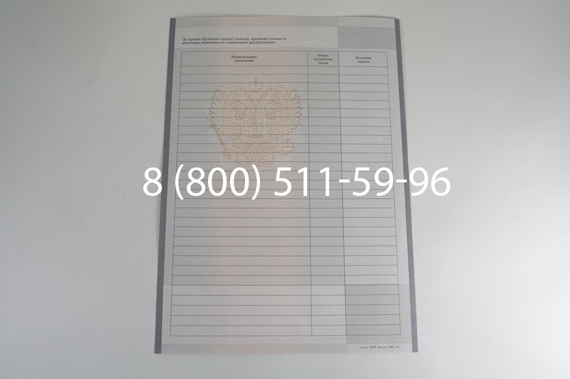 Заказать Академическая справка образца 2010-2011 год для колледжа в Челябинске