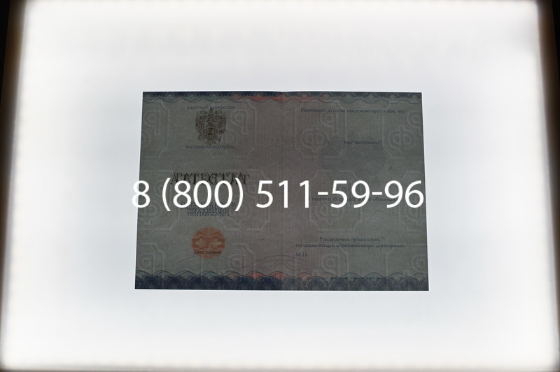 Купить Аттестат за 11 класс 2014-2026 года в Челябинске