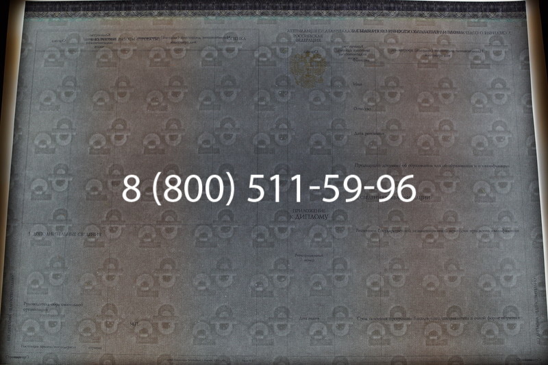 Заказать Диплом бакалавра (Киржач) 2014-2026 года в Челябинске