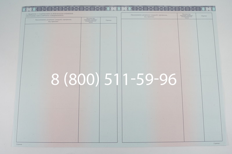 Диплом бакалавра 2014-2026 года в Челябинске