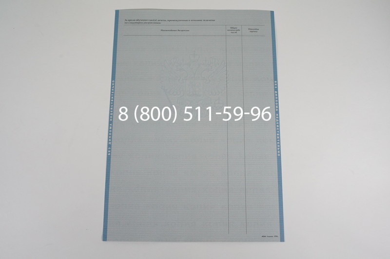 Заказать Диплом бакалавра 1997-2002 годов в Челябинске