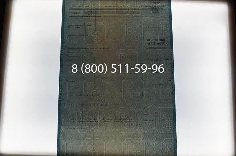 Заказать Диплом бакалавра 2003-2009 годов в Челябинске