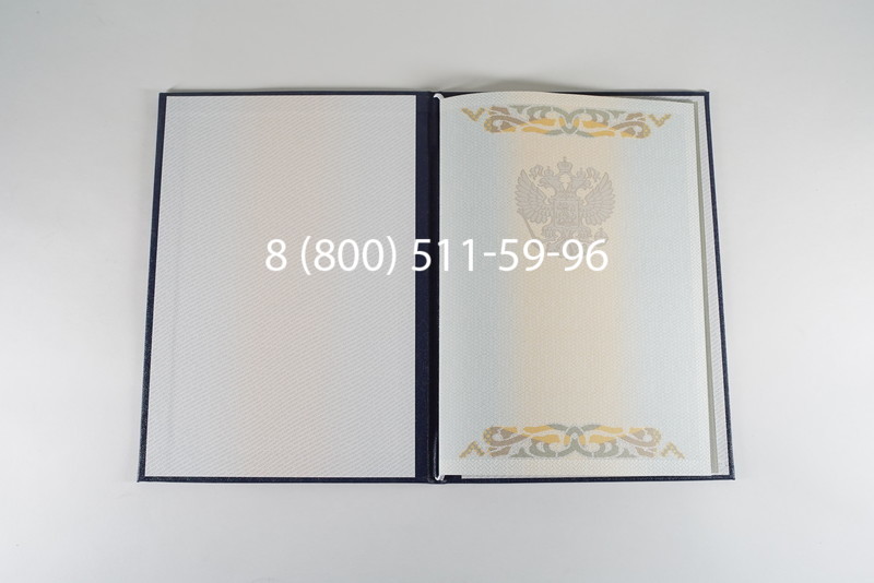 Диплом бакалавра 2003-2009 годов в Челябинске