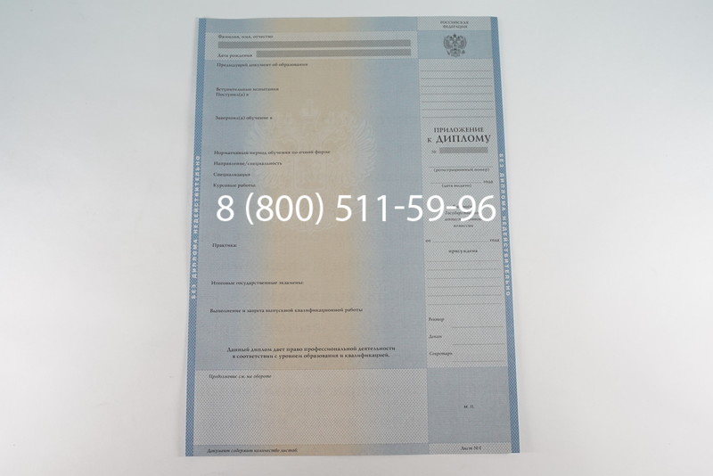 Диплом бакалавра 2003-2009 годов в Челябинске