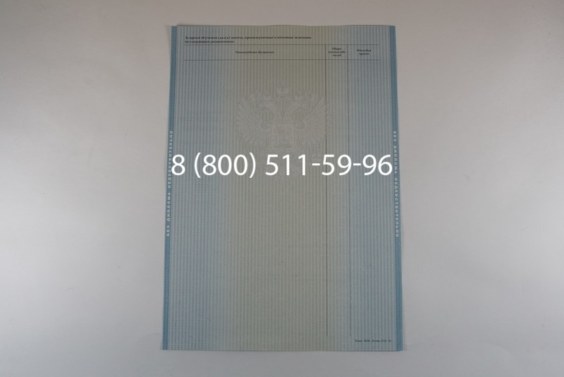 Диплом бакалавра 2012-2013 годов в Челябинске