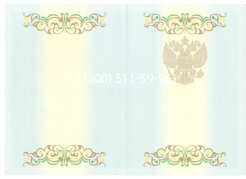 Купить Диплом бакалавра 2012-2013 годов в Челябинске