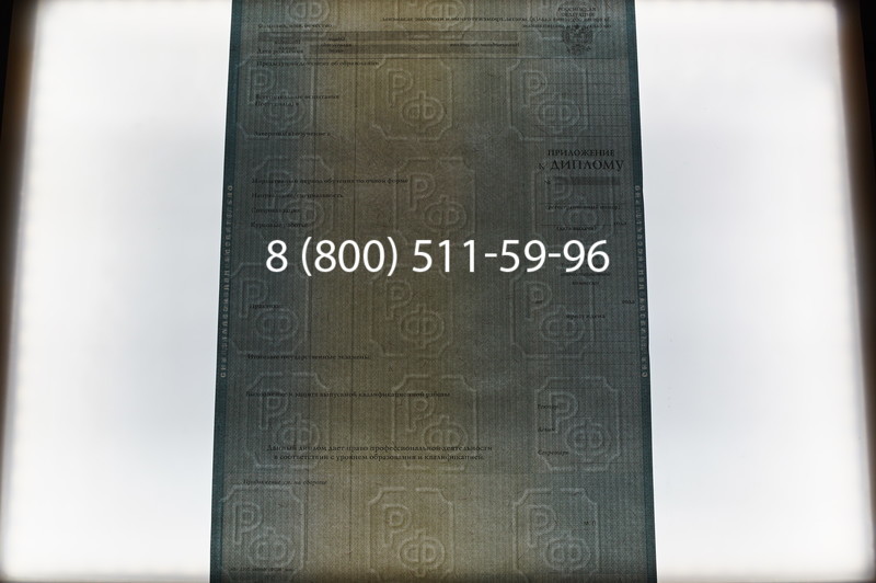 Заказать Диплом бакалавра 2012-2013 годов в Челябинске