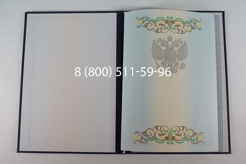 Диплом бакалавра 2012-2013 годов в Челябинске