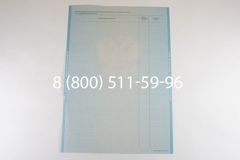 Диплом бакалавра 2010-2011 годов в Челябинске