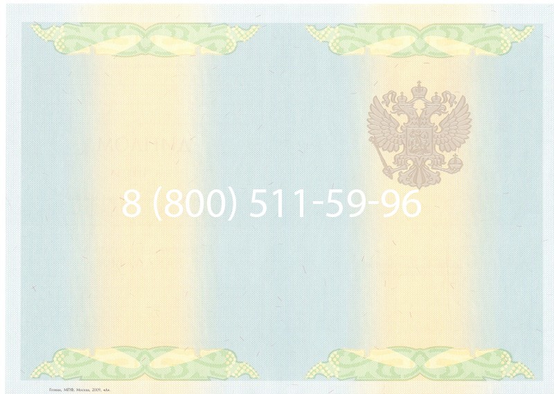 Купить Диплом бакалавра 2010-2011 годов в Челябинске