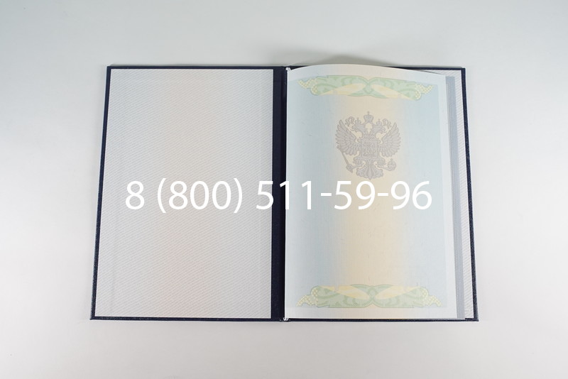 Диплом бакалавра 2010-2011 годов в Челябинске