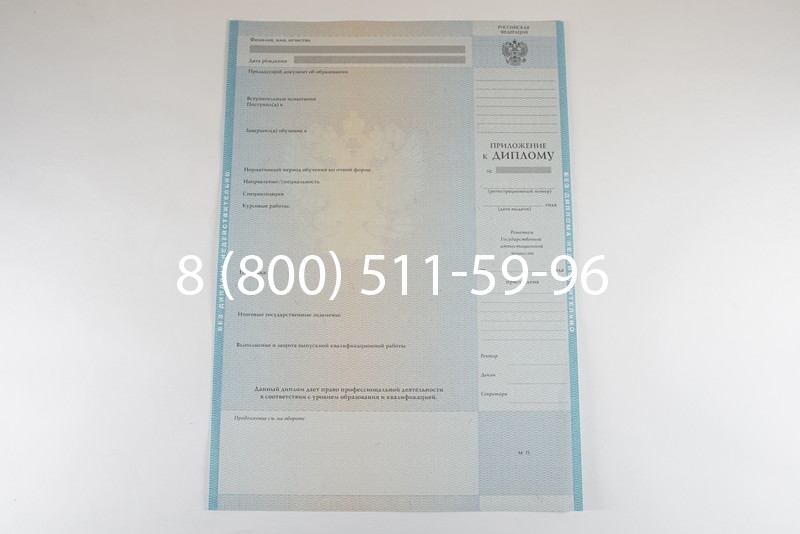 Диплом бакалавра 2010-2011 годов в Челябинске