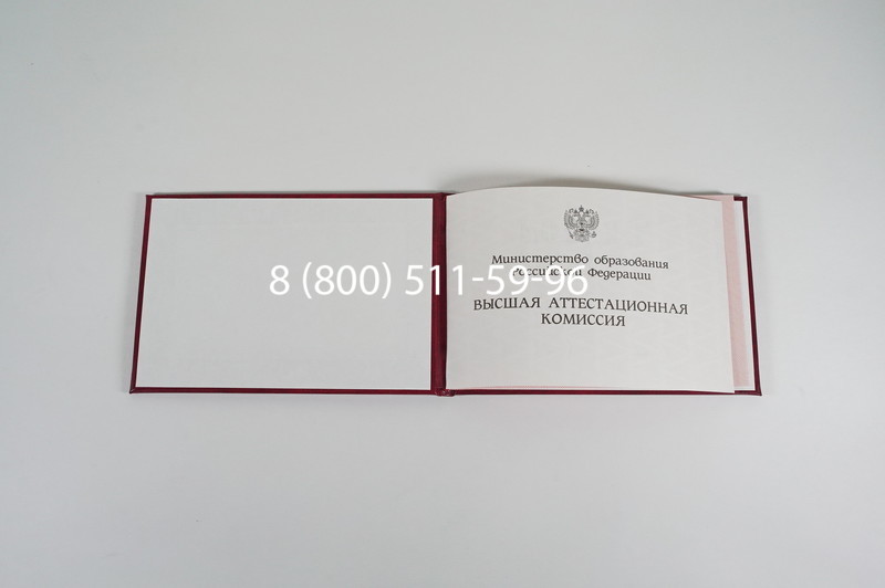 Диплом доктора наук 1995-2006 года в Челябинске