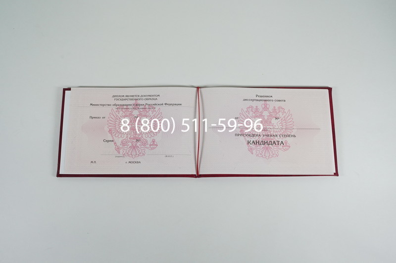 Заказать Диплом кандидата наук 2010 в Челябинске