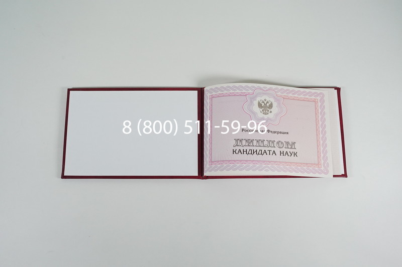 Заказать Диплом кандидата наук 2010 в Челябинске