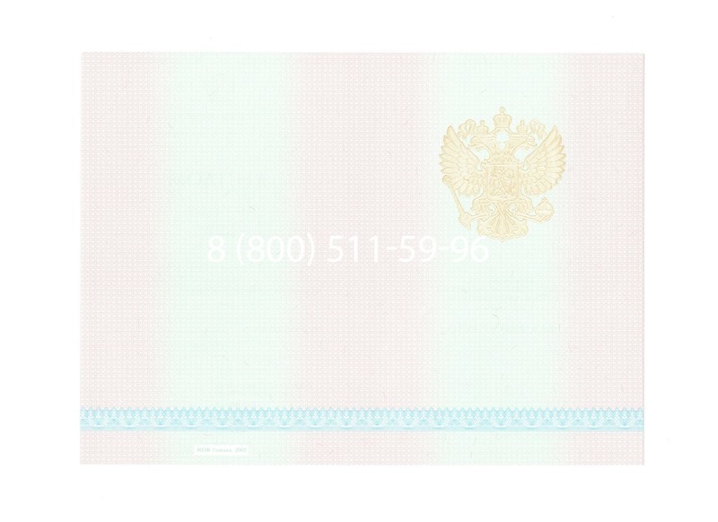 Заказать Диплом колледжа 2003-2006 годов в Челябинске