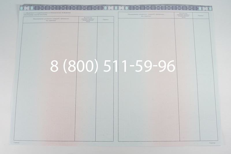 Диплом магистра 2014-2026 года в Челябинске