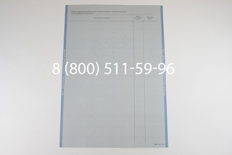 Заказать Диплом магистра 1997-2002 годов в Челябинске