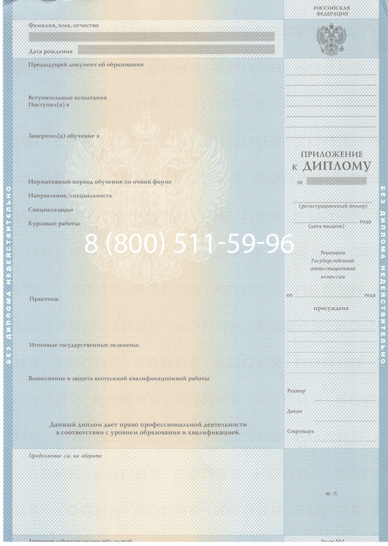 Заказать Диплом магистра 2003-2009 годов в Челябинске