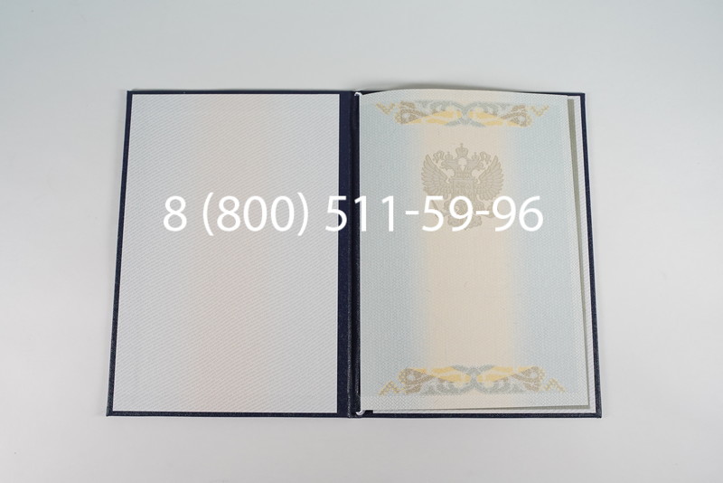 Диплом магистра 2003-2009 годов в Челябинске