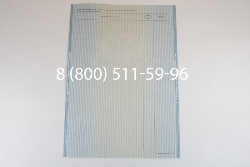 Диплом магистра 2012-2013 годов в Челябинске