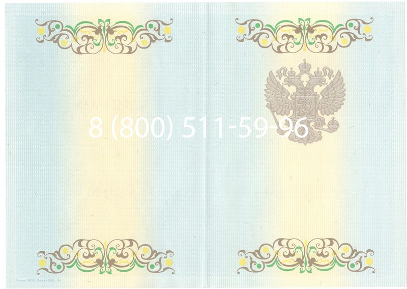 Заказать Диплом магистра 2012-2013 годов в Челябинске