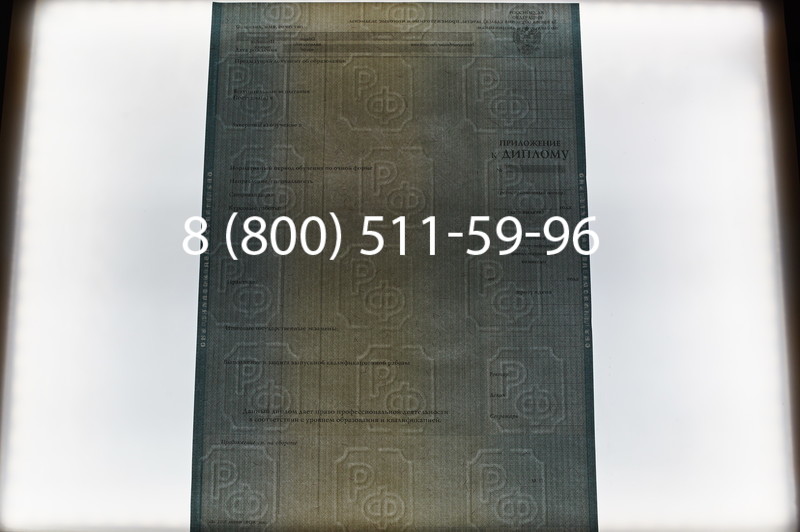 Заказать Диплом магистра 2012-2013 годов в Челябинске