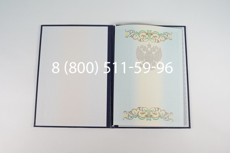 Диплом магистра 2012-2013 годов в Челябинске