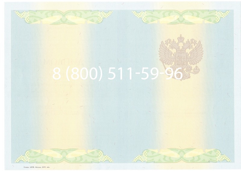 Купить Диплом магистра 2010-2011 годов в Челябинске