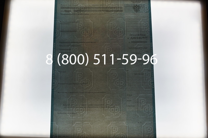 Заказать Диплом магистра 2010-2011 годов в Челябинске