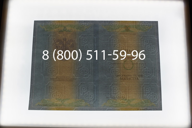 Заказать Диплом магистра 2010-2011 годов в Челябинске