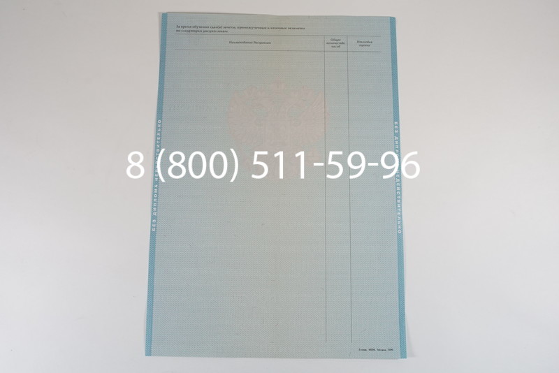 Диплом магистра 2010-2011 годов в Челябинске