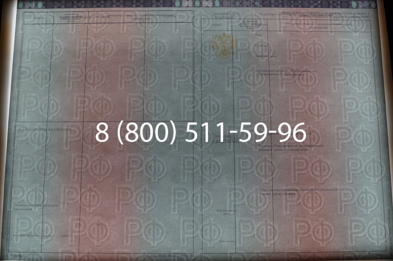 Заказать Диплом о высшем образовании 2014-2026 годов в Челябинске