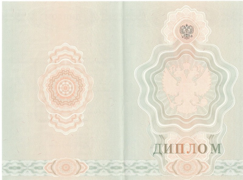 Купить Диплом о начальном образовании  2007-2009 годов в Челябинске