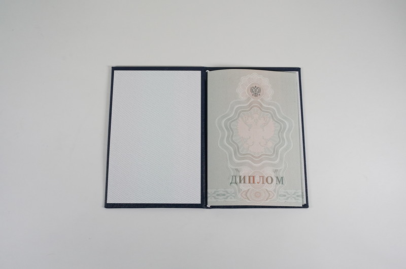 Диплом о начальном образовании  2007-2009 годов в Челябинске