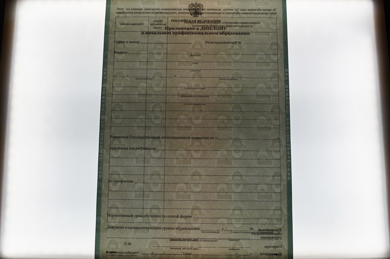 Заказать Диплом о начальном образовании  2010-2026 годов в Челябинске