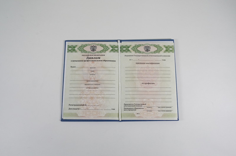 Диплом о начальном образовании  2010-2026 годов в Челябинске