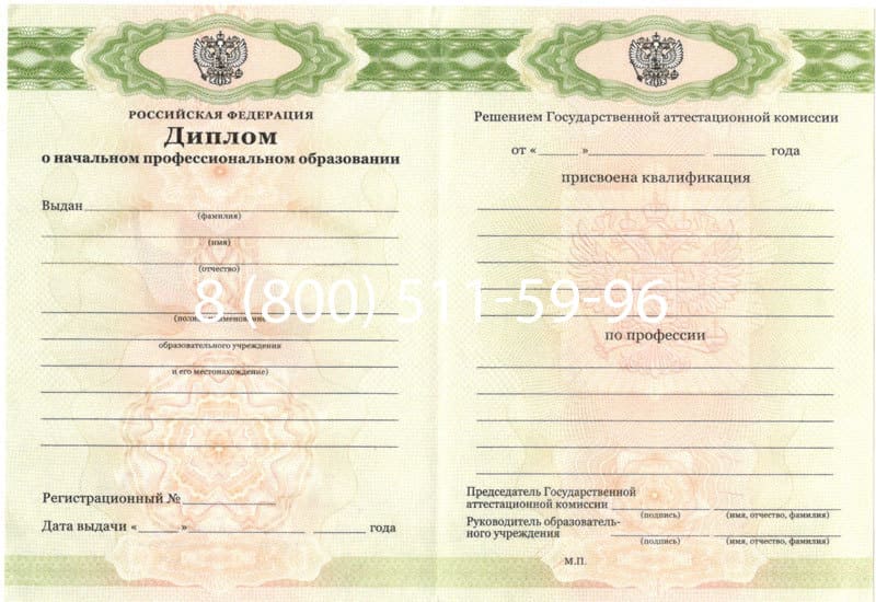 Купить Диплом о начальном образовании  2010-2026 годов в Челябинске