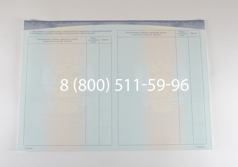 Диплом о среднем образовании (Спецбланк) 2014-2026 года в Челябинске