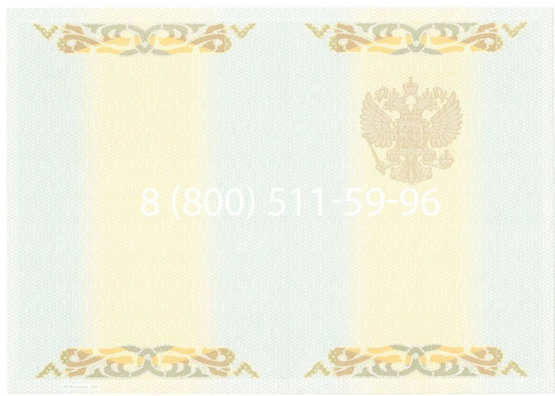 Заказать Диплом о высшем образовании 2003-2009 годов в Челябинске