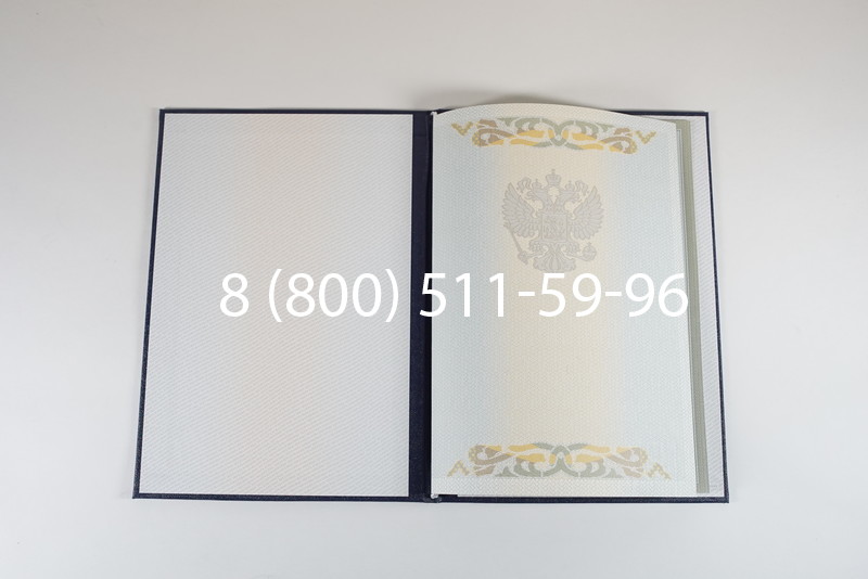 Диплом о высшем образовании 2003-2009 годов в Челябинске