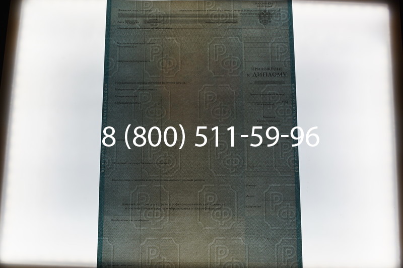 Заказать Диплом о высшем образовании 2010-2011 годов в Челябинске
