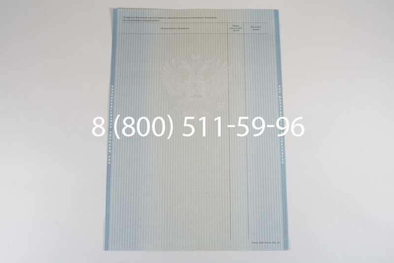 Диплом о высшем образовании 2012-2013 годов в Челябинске