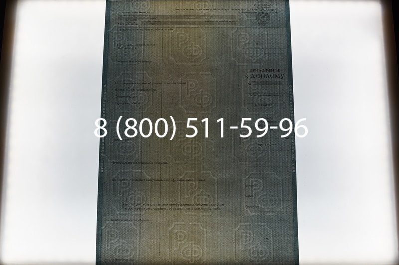 Заказать Диплом о высшем образовании 2012-2013 годов в Челябинске